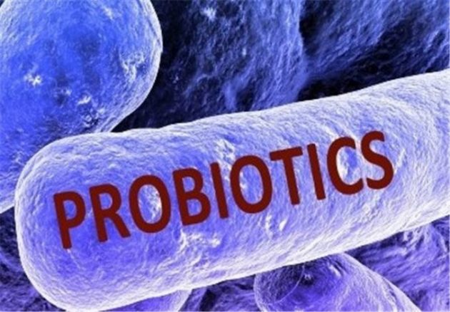 پروبیوتیک - محصولات پروبیوتیک - مواد غذایی پروبیوتیک - مواد پروبیوتیک - فرآورده پروبیوتیک - Probiotic