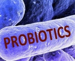 پروبیوتیک (Probiotic)