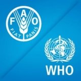 موفقیت نوشیدنی انحصاری ایران در کدکس آلیمنتاریوس